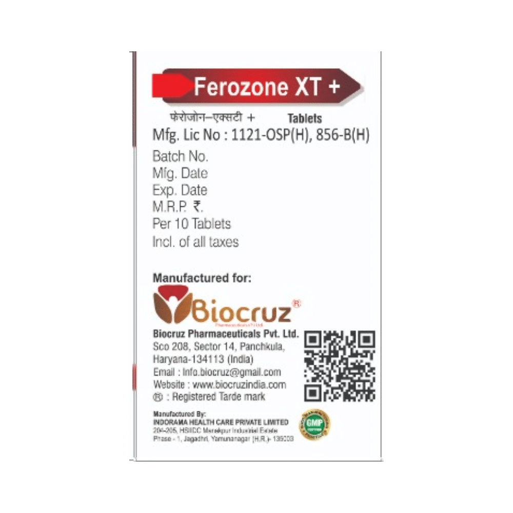 Ferozone XT + Tablet - Image 3
