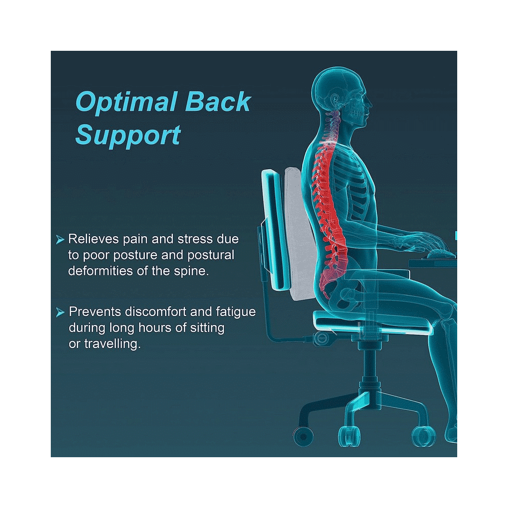 Agarwals  Back Rest Full Universal - Image 2