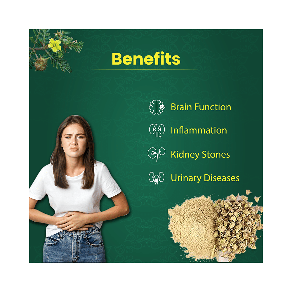 Vedikroots Gokhru Powder (100gm Each) - Image 4