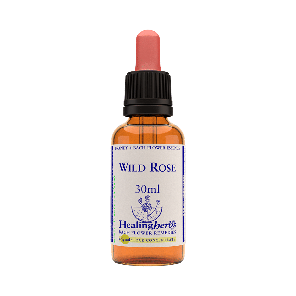 Healing Herbs Bach Flower Wild Rose - Image 1