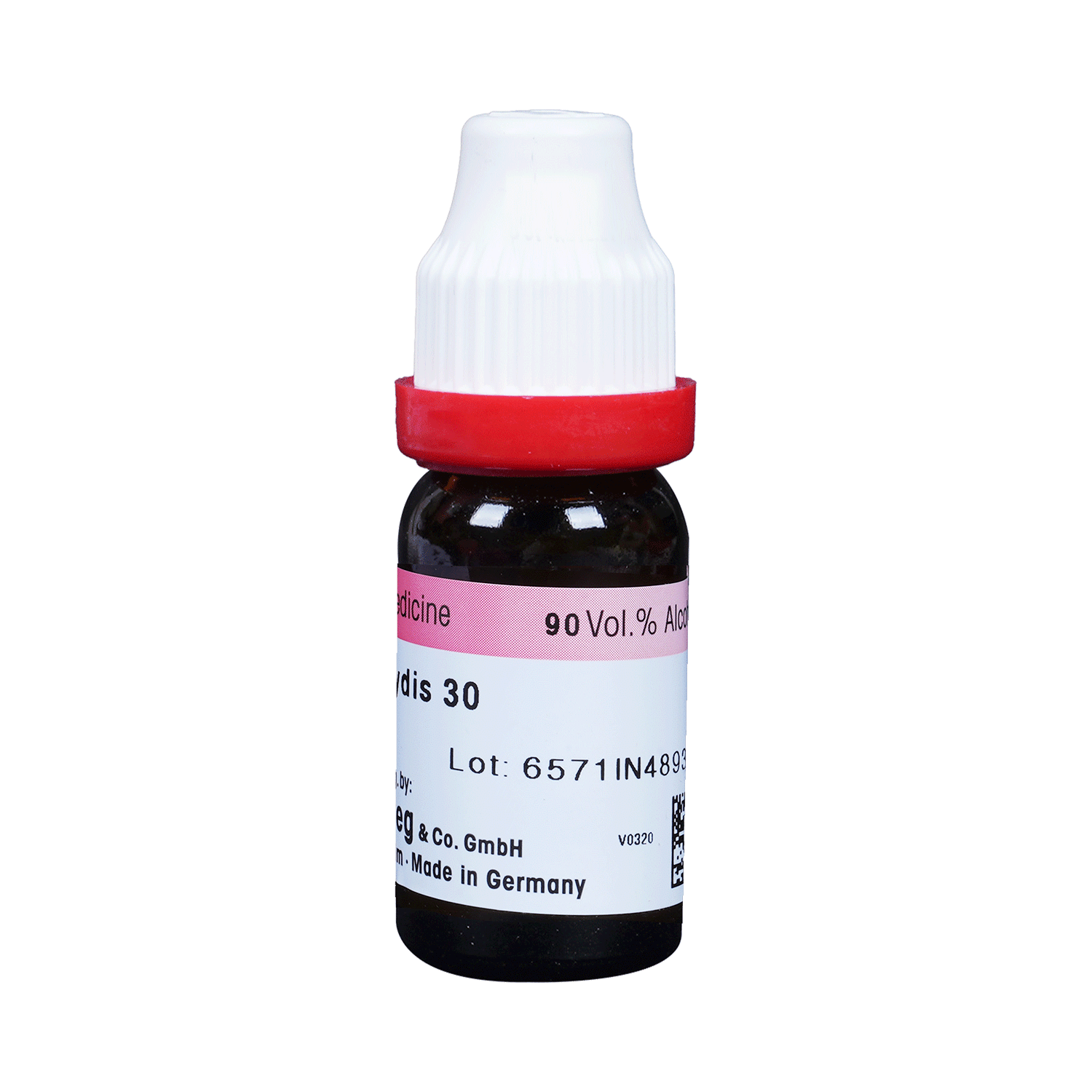 Dr. Reckeweg Ustilago Maydis Dilution 30 CH - Image 2