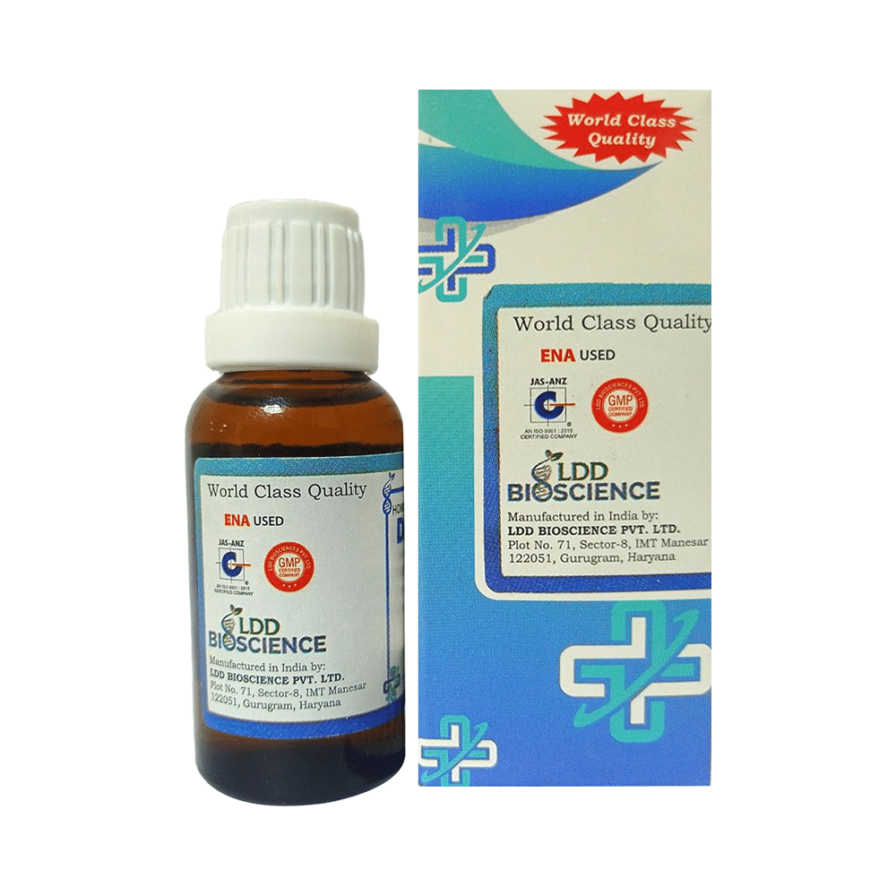 LDD Bioscience Conium Mac Dilution 1000 CH - Image 3