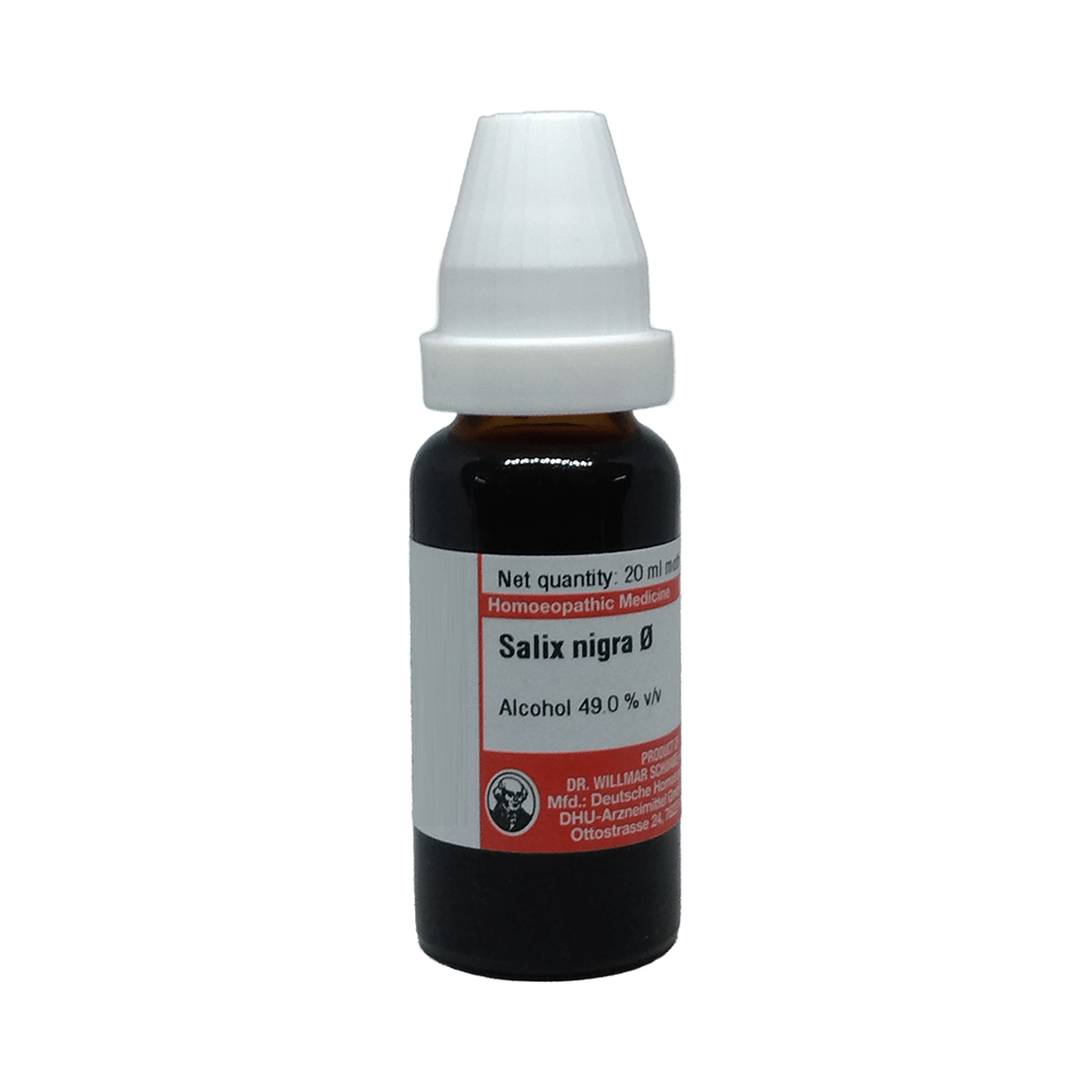 Dr Willmar Schwabe Germany Salix Nigra Mother Tincture Q
