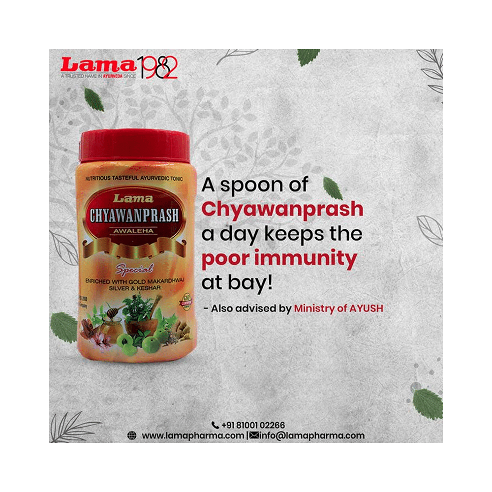 Lama Chyawanprash - Image 5