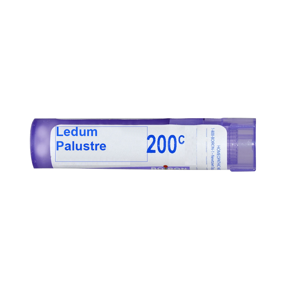 Boiron Ledum Palustre Pellets 200C