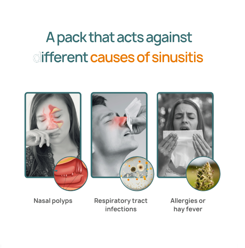 Bibo Sinus Wellness Pack - Image 6