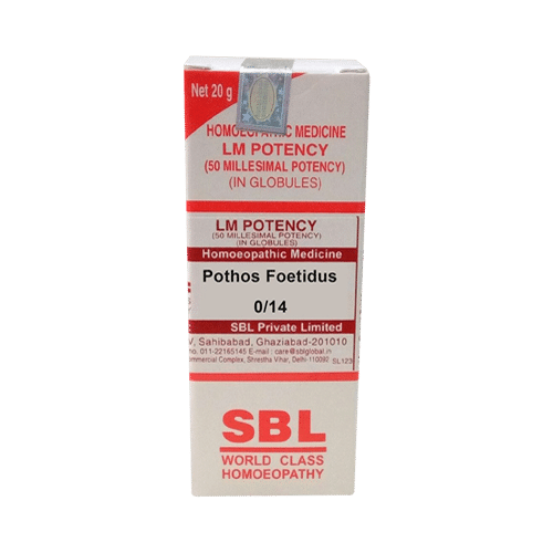 SBL Pothos Foetidus 0/14 LM - Image 1