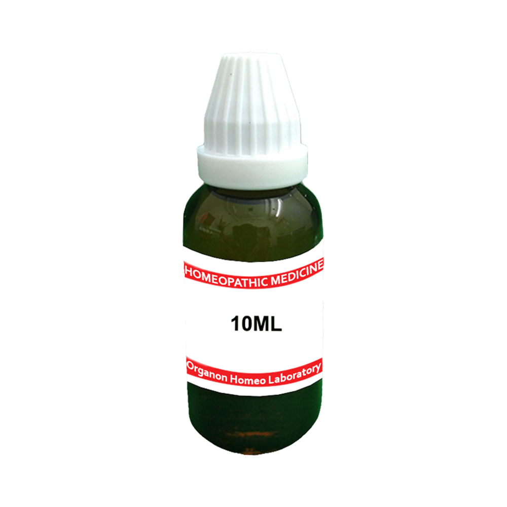 Organon Belladonna Dilution 1M - Image 2