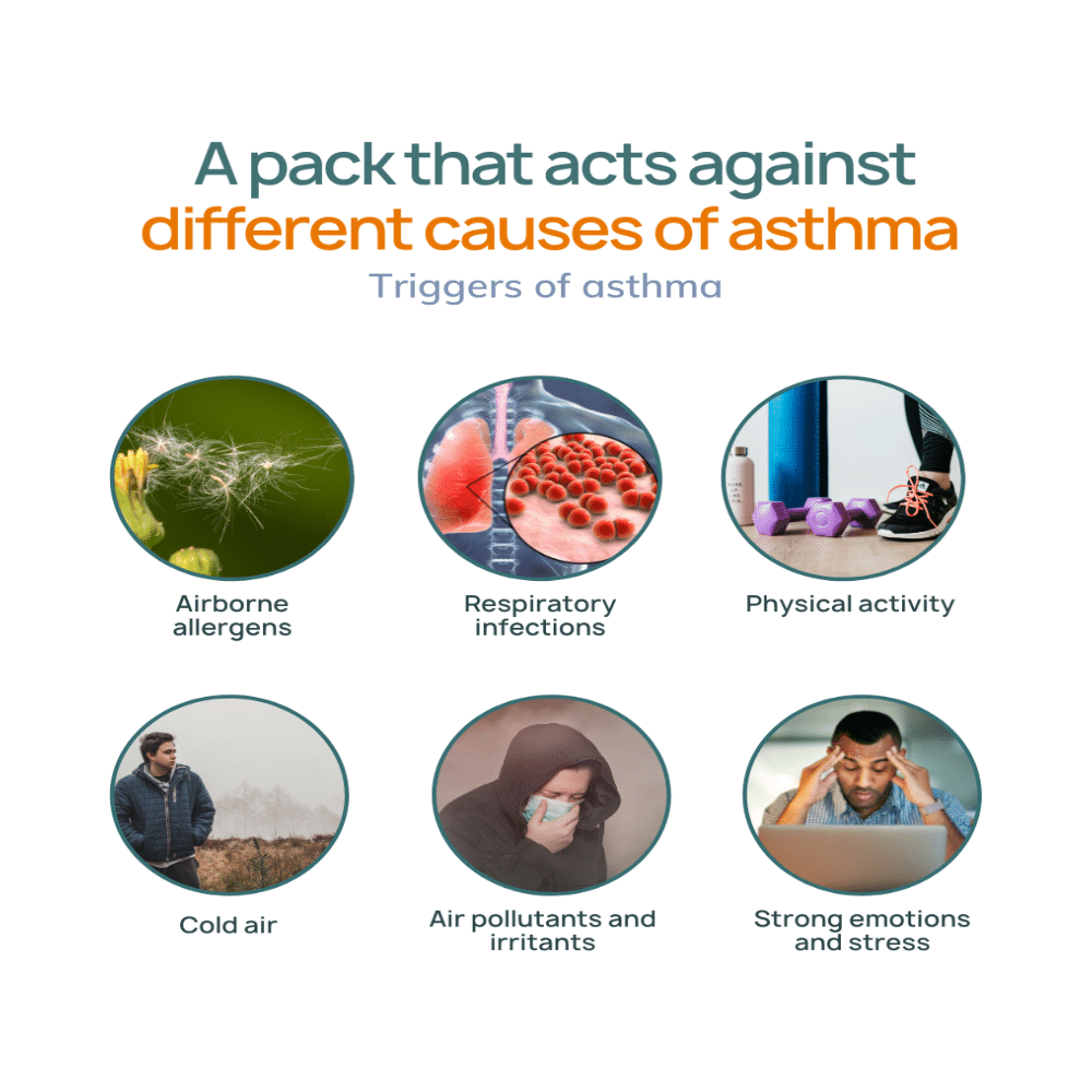 Bibo Asthma Wellness Pack - Image 6