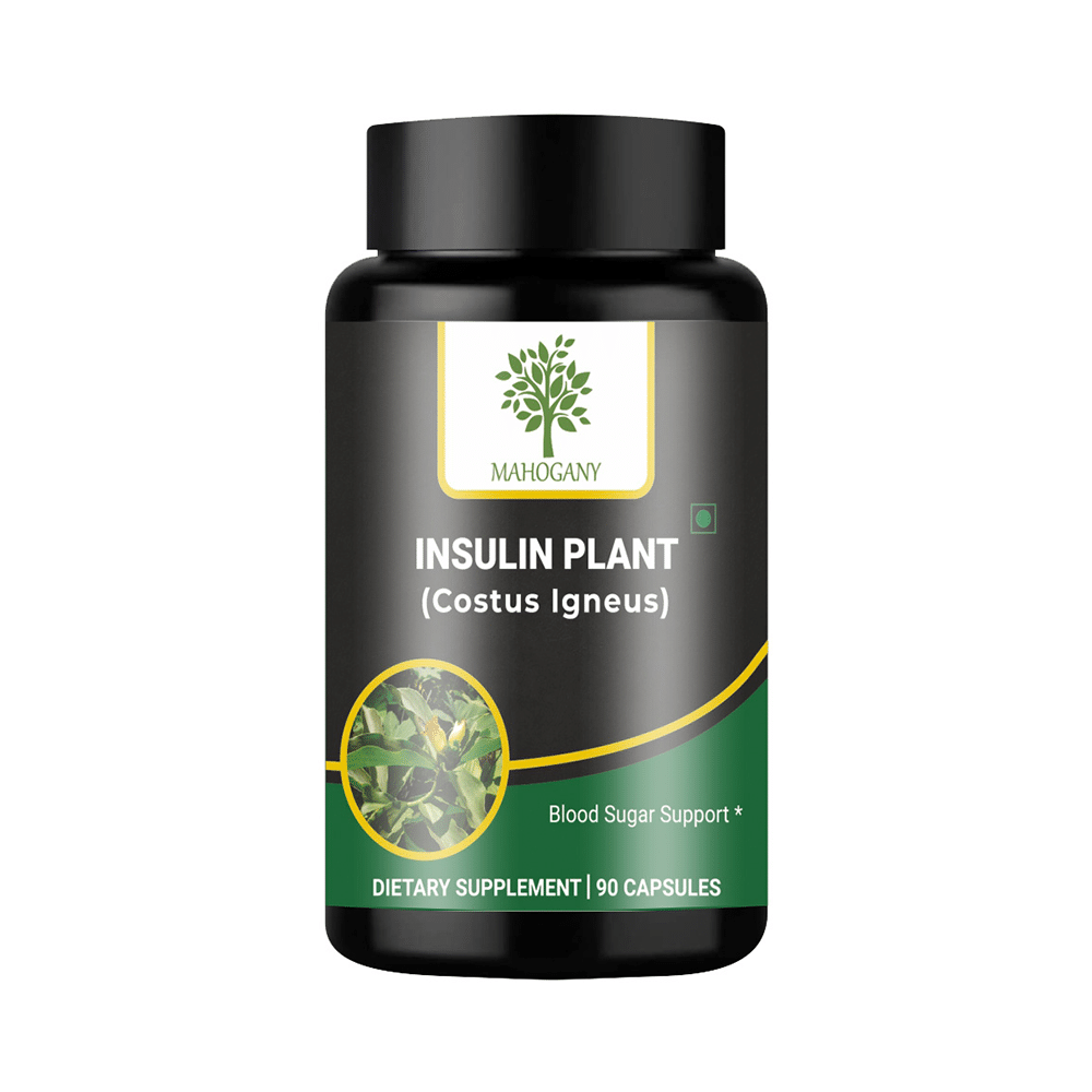 Mahogany Insulin Plant Capsule