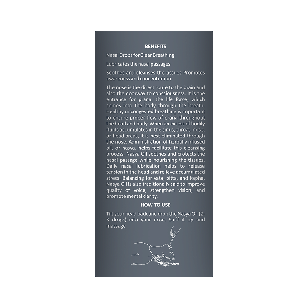 24 CT Naturals Nasya Chikitsha Nasal Drops - Image 2