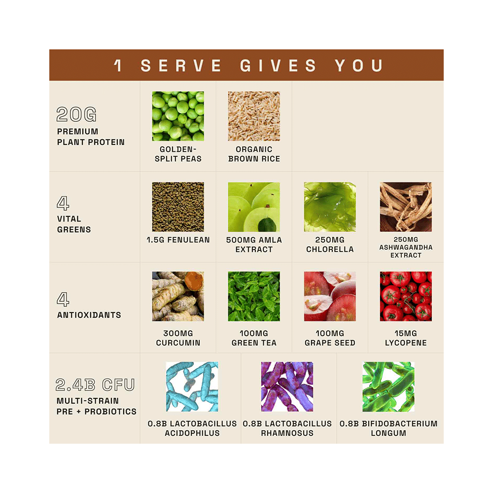 Ace Blend Daily 20g Vegan Plant Protein Powder & Superfoods Raw Chocolate - Image 4