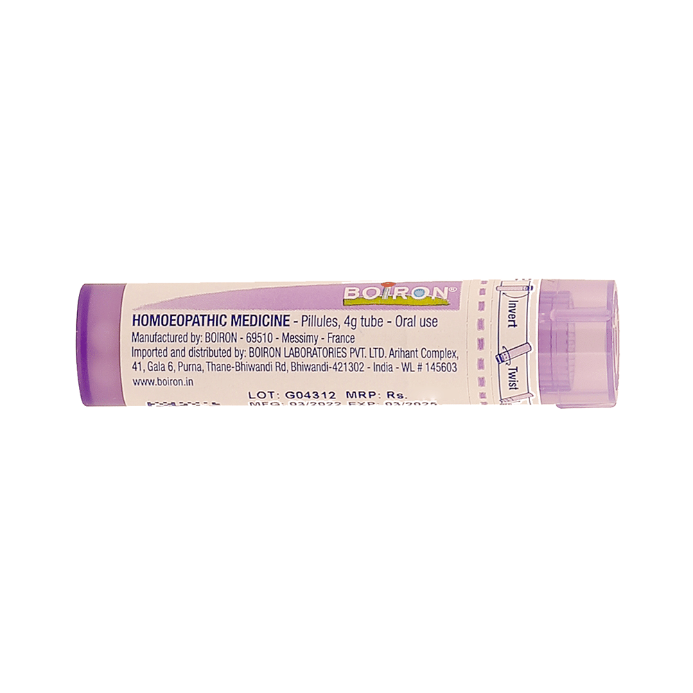 Boiron Streptococcinum Pellets 30C - Image 2