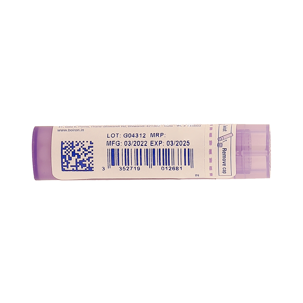 Boiron Streptococcinum Pellets 30C - Image 3
