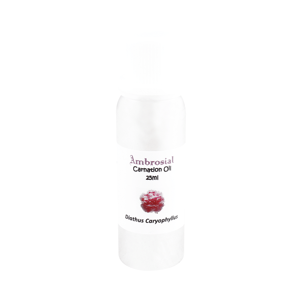 Ambrosial Essential Oil Carnation