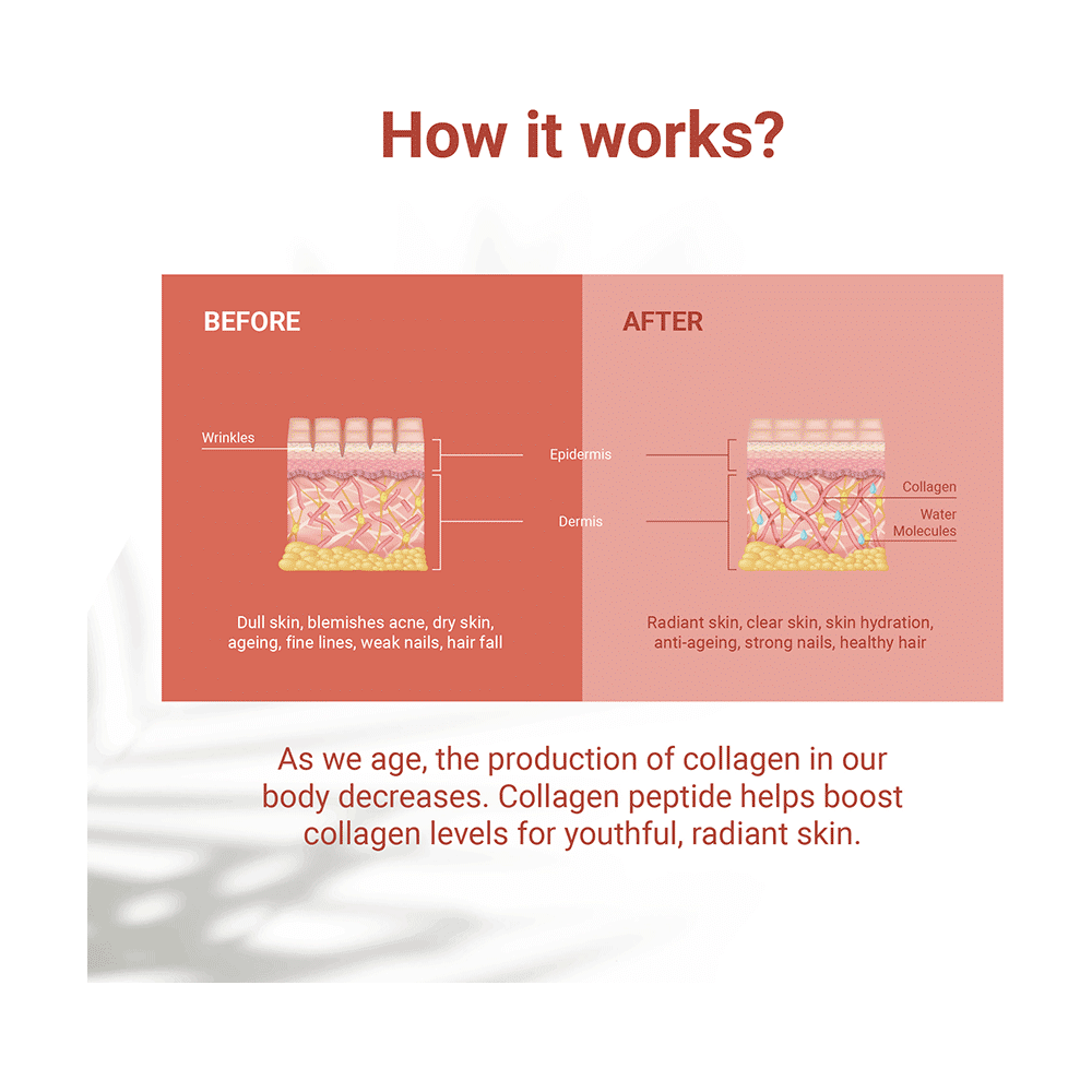Nudge Collegen Peptide Powder Mix Fruit Flavour - Image 9