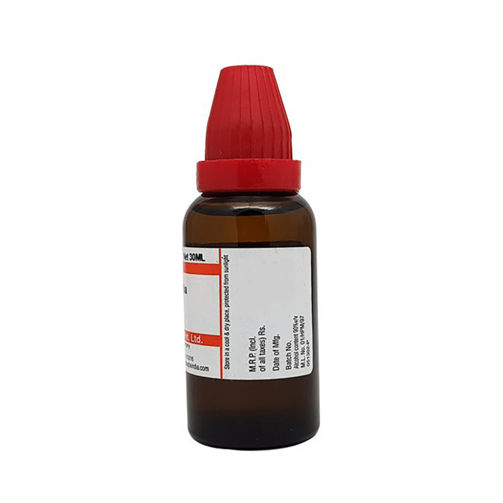 Dr Willmar Schwabe India Rhus Toxicodendron Dilution 200 CH - Image 2