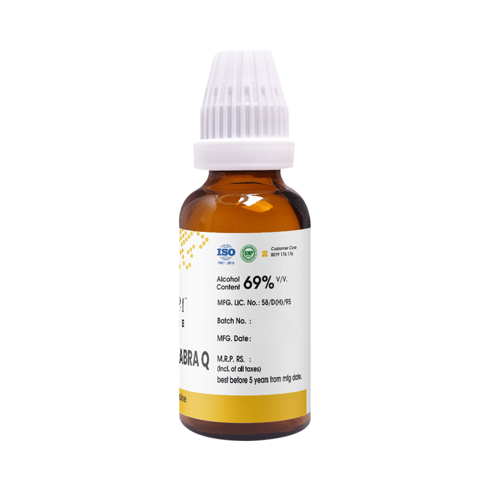 Pioneer Pharma Glycyrrhiza Glabra Mother Tincture Q - Image 2