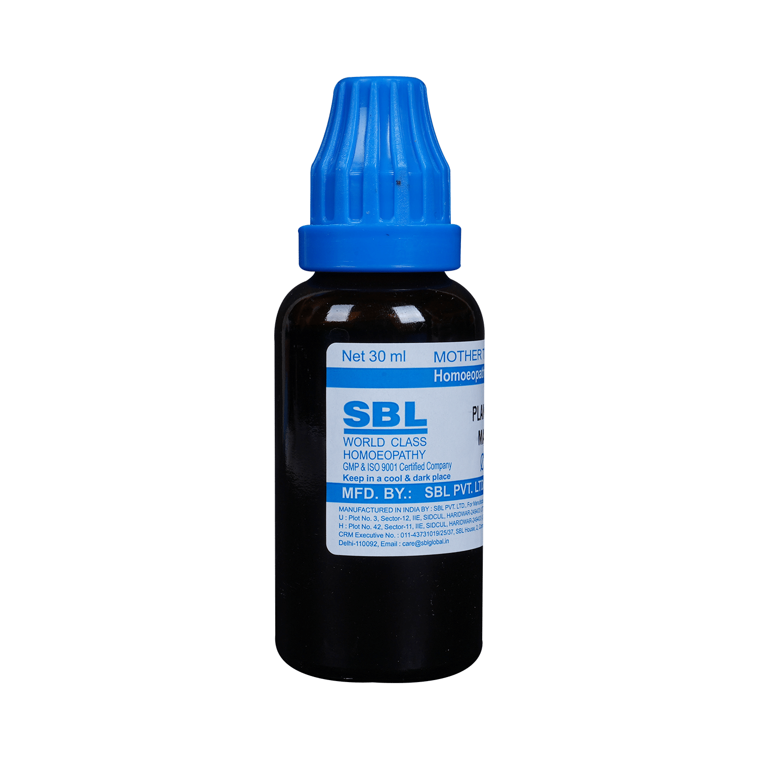 SBL Plantago Major Mother Tincture Q - Image 6