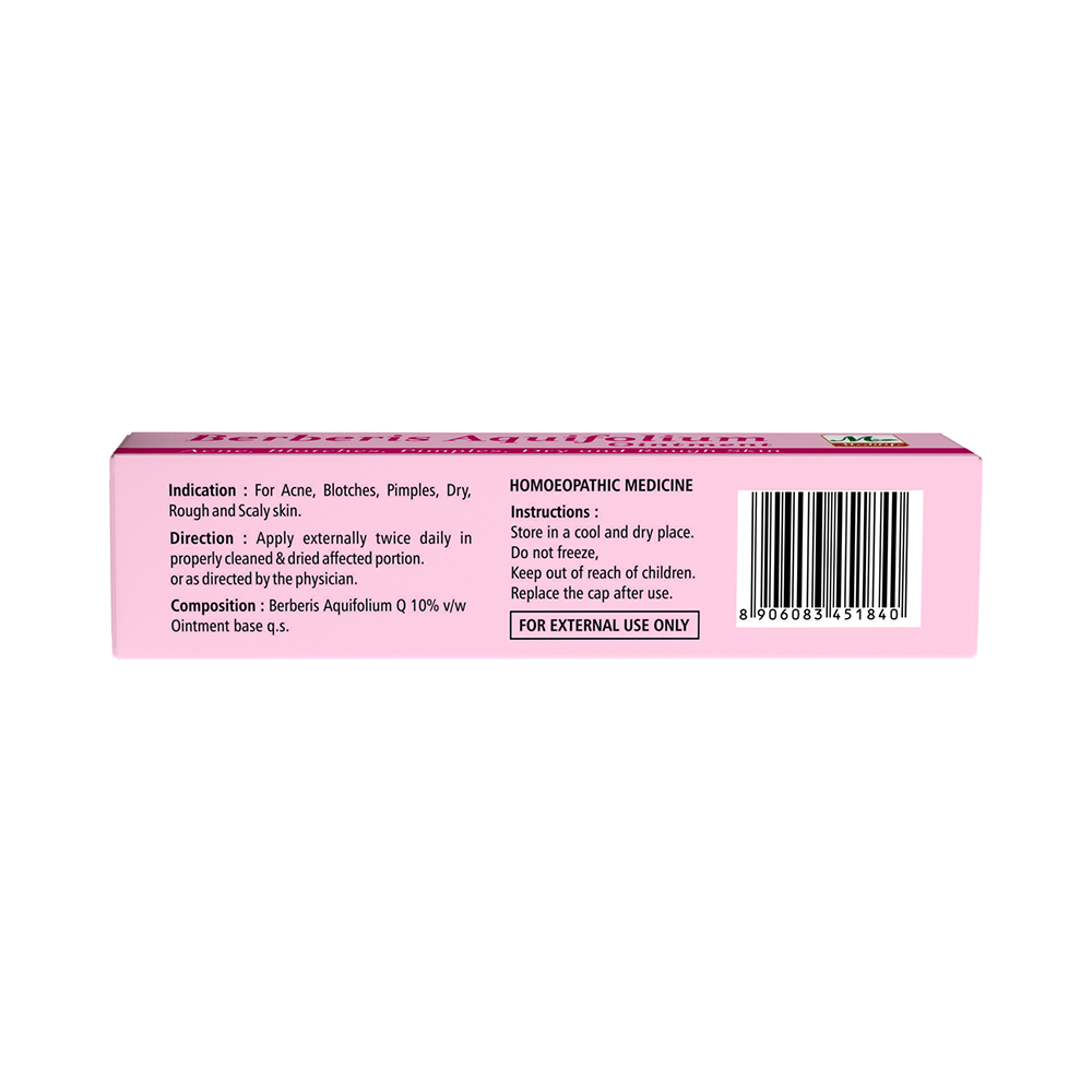 Medilife Berberis Aquifolium Ointment - Image 2