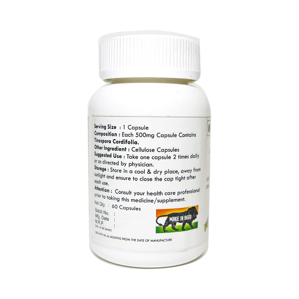 Luxurious Ayurvedic Gold Giloy Extracts 500mg Capsule - Image 2