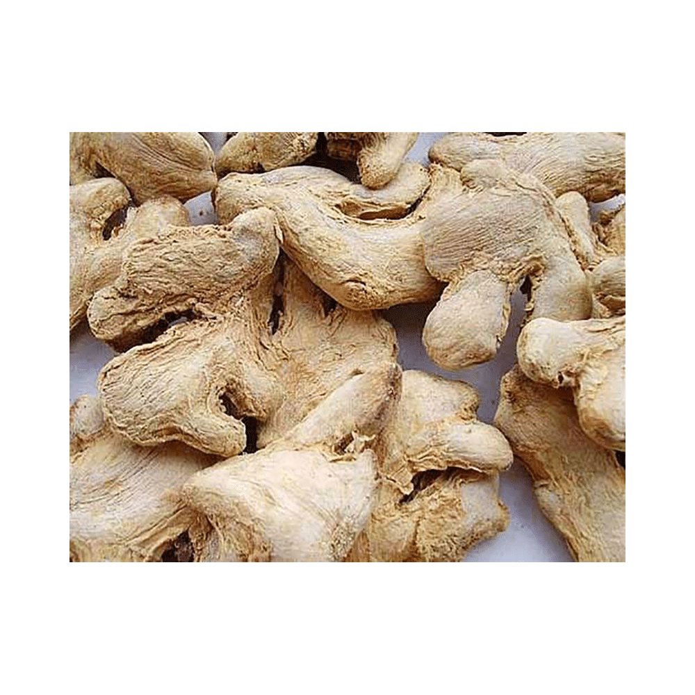 JJW Mart Ginger - Image 3