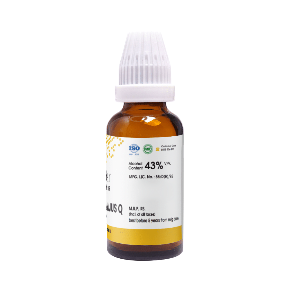 Pioneer Pharma Chelidonium Majus Q Mother Tincture - Image 2