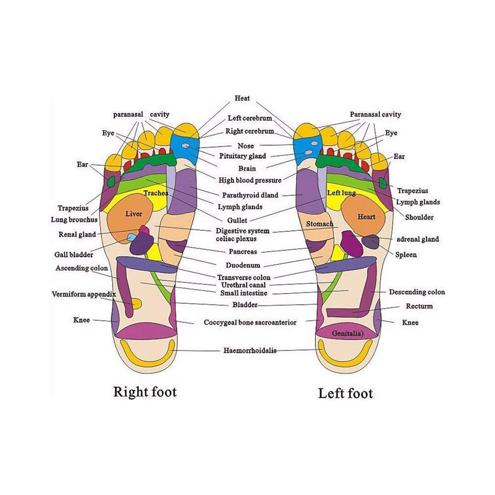Isha Surgical Accupressure Slipper - Image 4