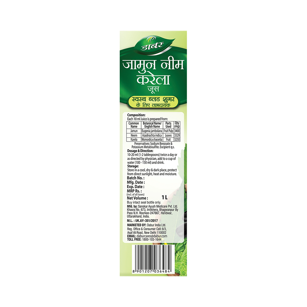 Dabur Jamun Neem Karela Ayurvedic Juice | For Healthy Glucose Levels, Digestion, Metabolism & Immunity - Image 3