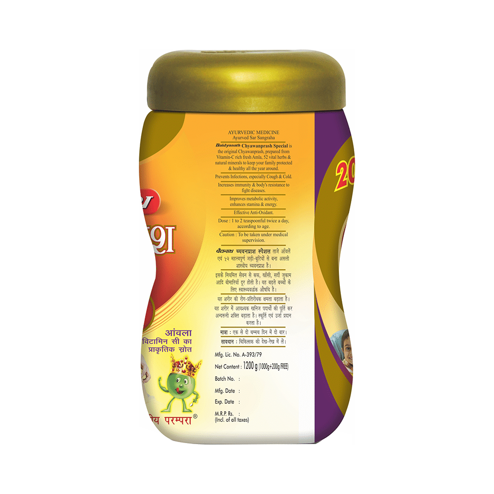 Baidyanath (Noida) Chyawanprash Special - Image 2