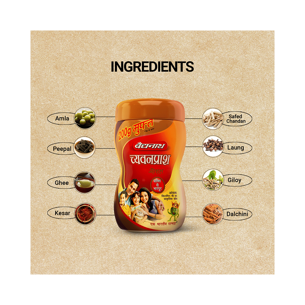 Baidyanath (Noida) Chyawanprash Special - Image 4