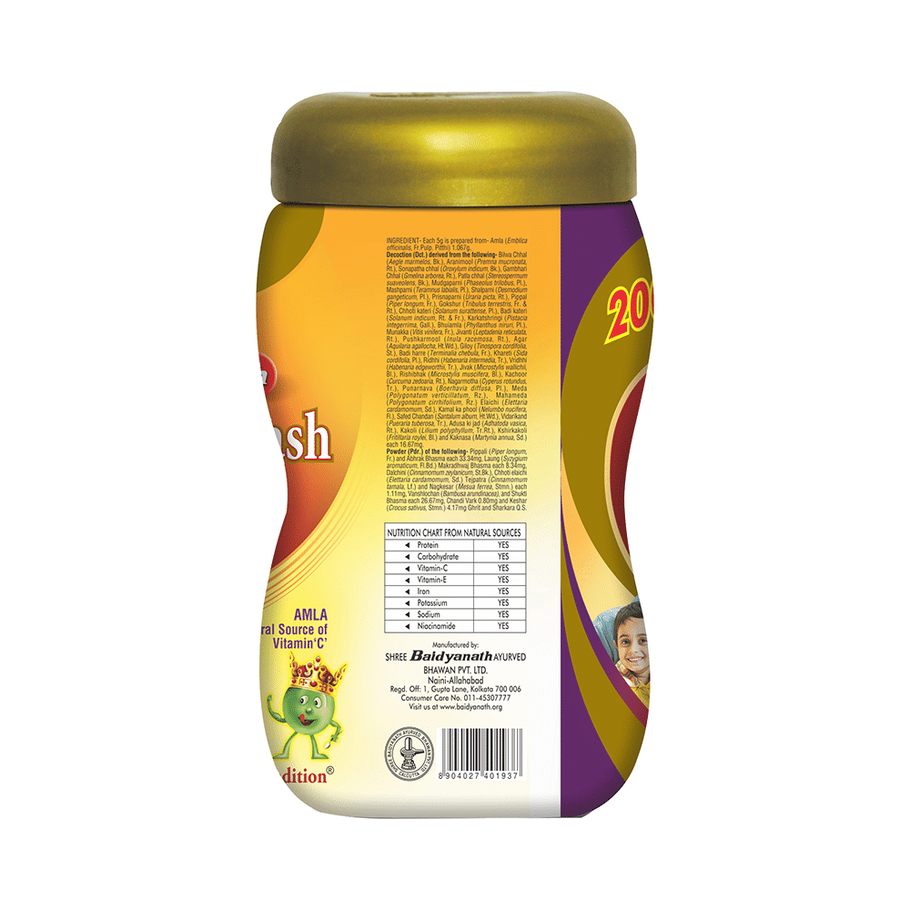 Baidyanath (Noida) Chyawanprash Special - Image 3