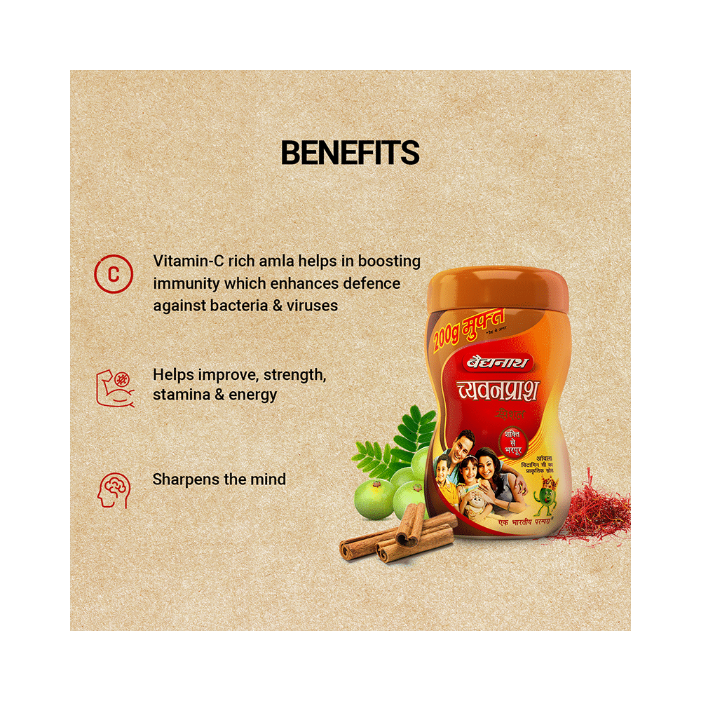Baidyanath (Noida) Chyawanprash Special - Image 5