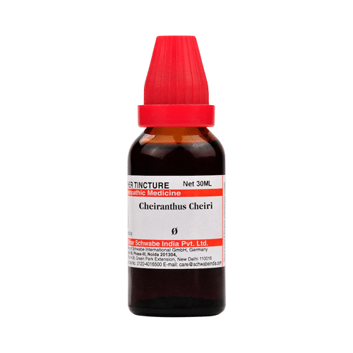 Dr Willmar Schwabe India Cheiranthus Cheiri Mother Tincture Q - Image 1