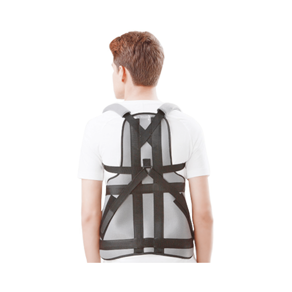 Dyna 1411 Thoraco Lumbar Appliance Nova (Taylor’s Brace) Small Grey - Image 1