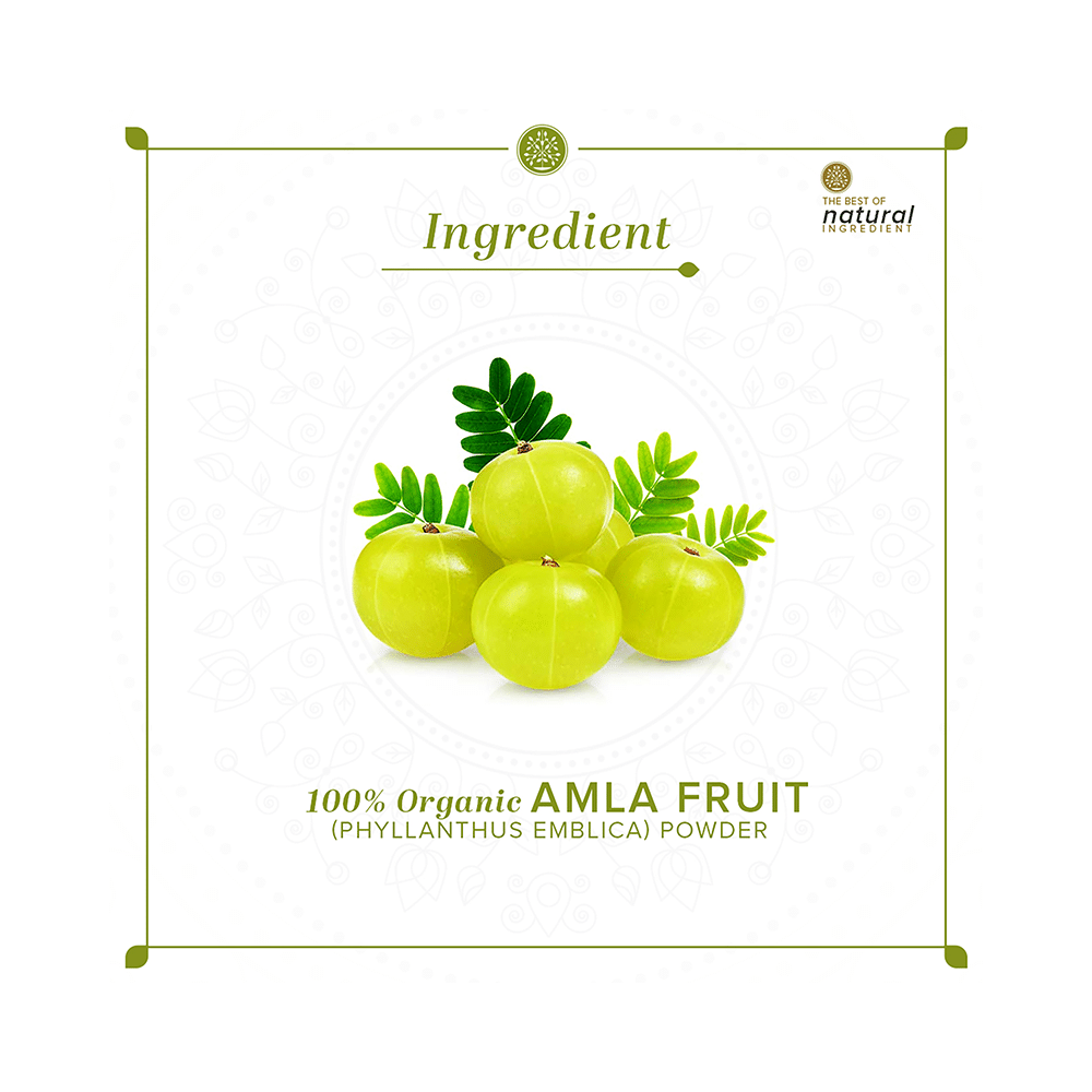 Khadi Naturals Organic Amla Fruit Powder - Image 6