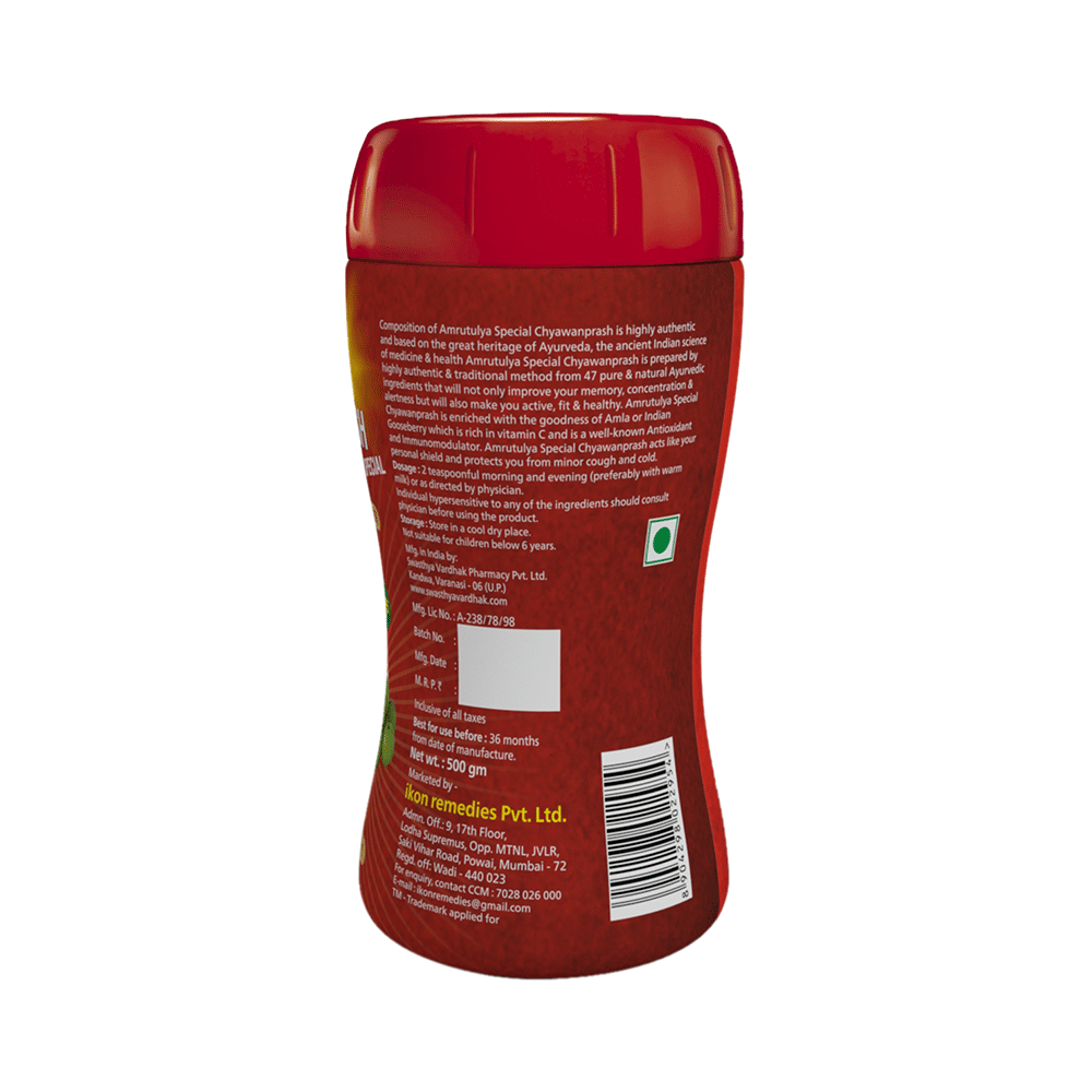 Amrut Chyawanprash Special (500gm Each) - Image 2