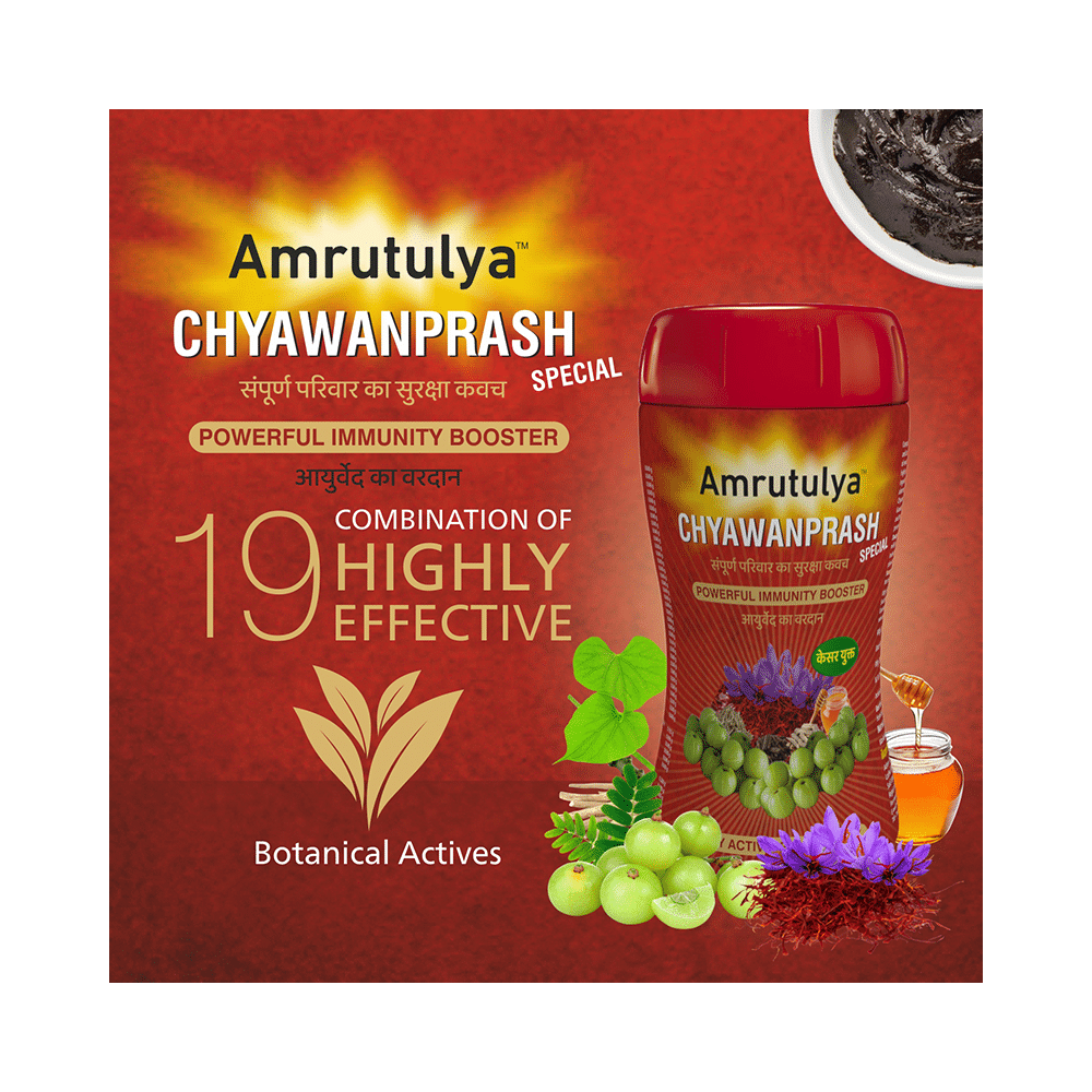Amrut Chyawanprash Special (500gm Each) - Image 4