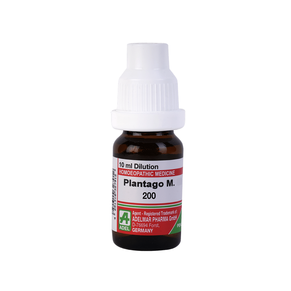 ADEL Plantago M. Dilution 200 - Image 1