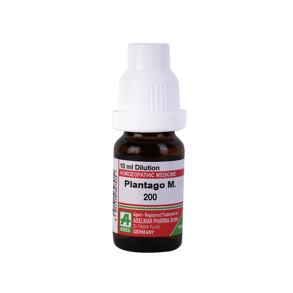 ADEL Plantago M. Dilution 200