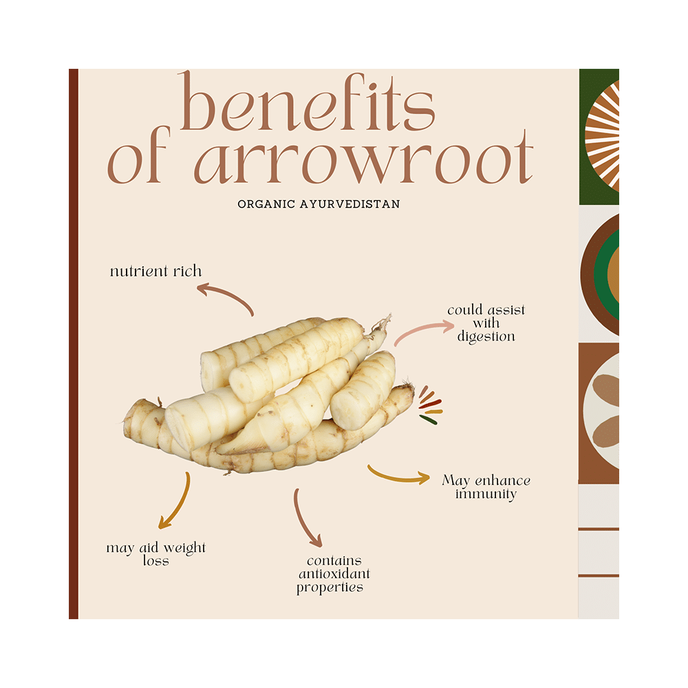 Organic Ayurvedistan Arrow Root Powder - Image 4