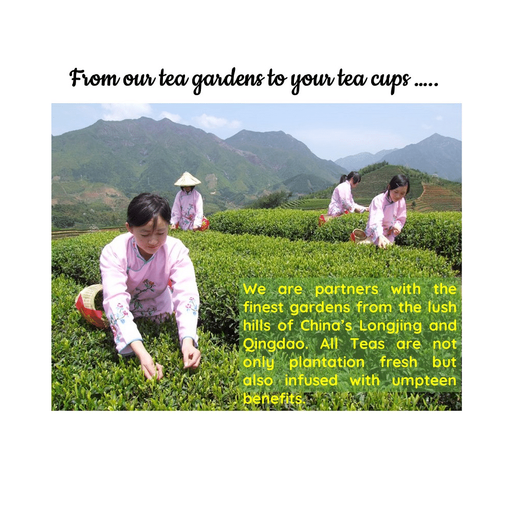 Radhikas Fine Teas Natural Romance Series Anti-Ageing China Jasmine Pearl Green Leaf - Image 4