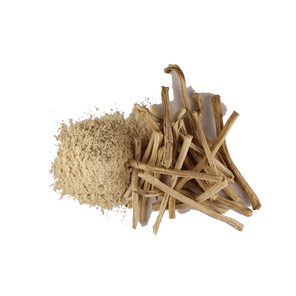 BHPI Bharat Shatavari (Asparagus Racemosus) Powder - Image 3