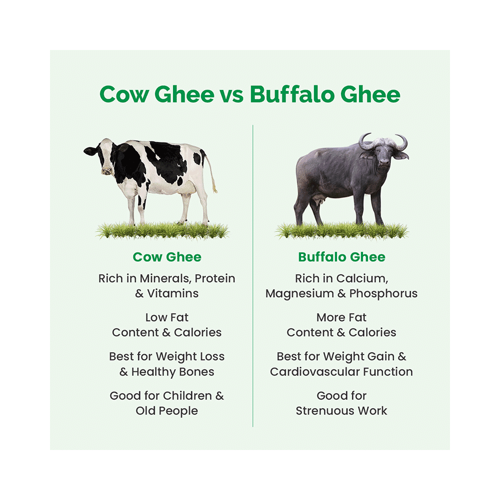 Auric Ceeka Cow Ghee for Boosting Immunity & Energy - Image 7