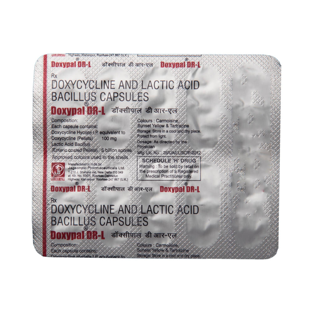 Doxypal DR-L Capsule - Image 5