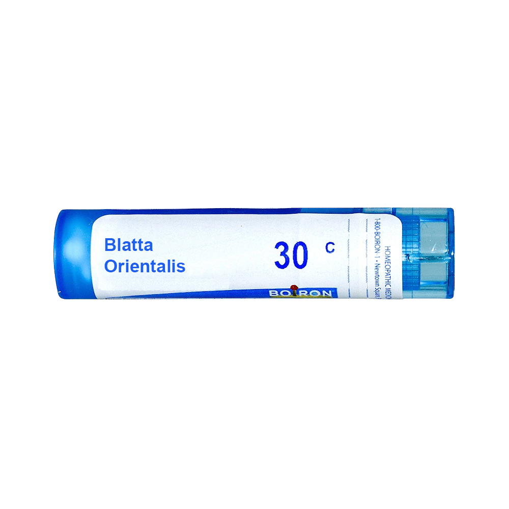 Boiron Blatta Orientalis Multi Dose Approx 80 Pellets 30 CH
