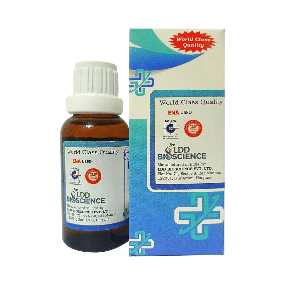 LDD Bioscience Sanicula Dilution 30 CH - Image 3