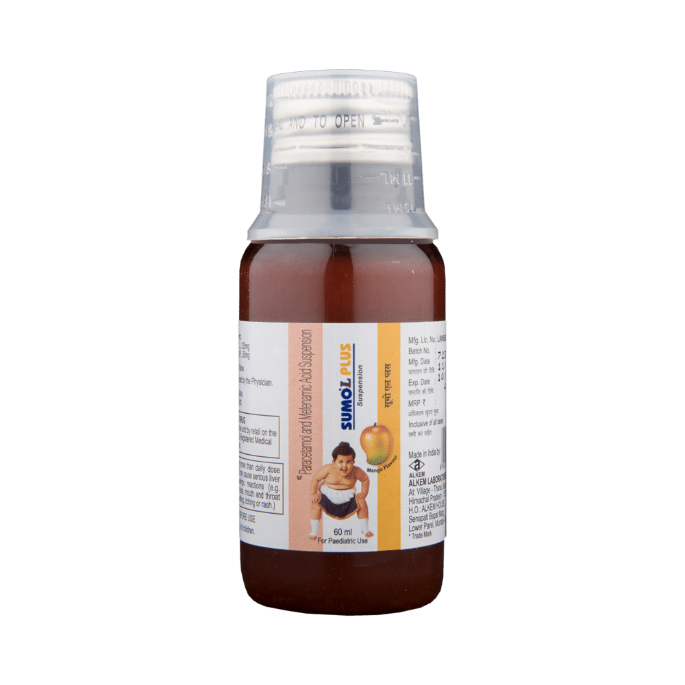 Sumo L Plus Paediatric Suspension - Image 4