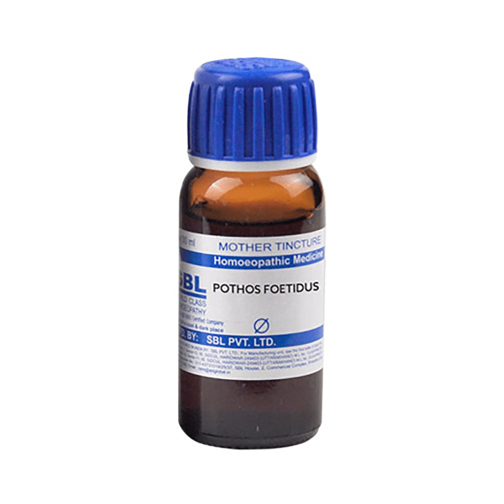 SBL Pothos Foetidus Mother Tincture Q - Image 2