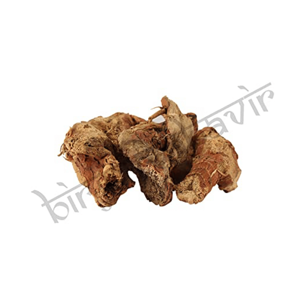 Birju Mahavir Kulanjan Root - Image 3